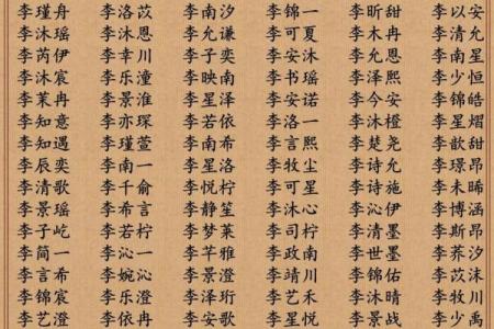 李姓宝宝如何起名最吉利