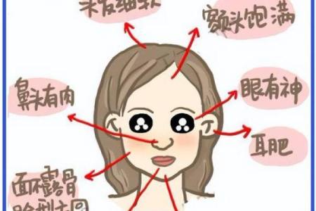 揭秘面相：一眼看穿命运，你的运势密码藏在这张脸上