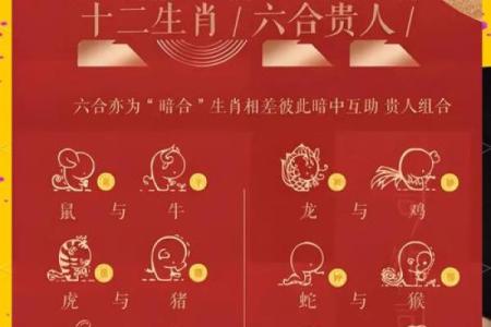 鼠猴配对，绝配还是绝配？