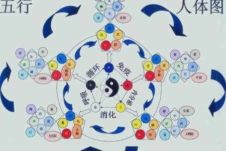 揭秘四木巽绿命：你的运势密码，你知道吗？