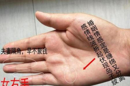 手心一字纹揭秘：运势密码，一触即知