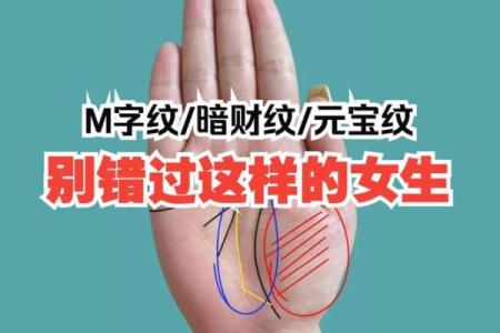 一招看手相，揭秘财运亨通的秘密，元宝在手，富贵不愁
