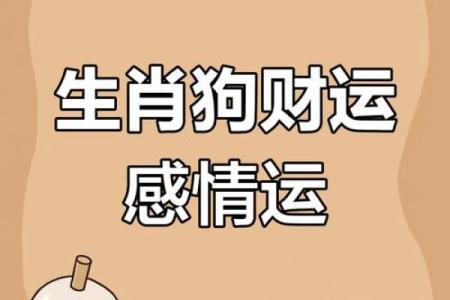 狗年运势指南：快来找到你的生肖黄金搭档