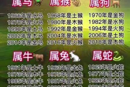 大林木命，揭秘你的生肖秘密