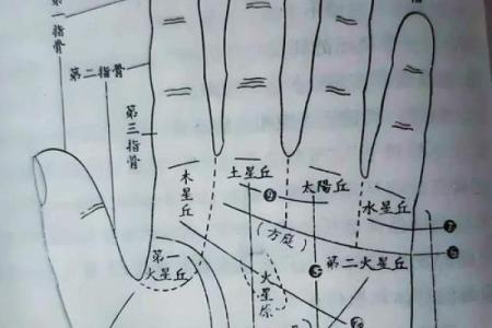揭秘：男孩手相，哪些特征预示着不幸？