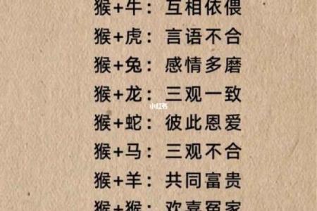 亲子属相相配大揭秘：为孩子挑选最佳父母属相