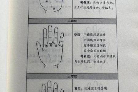 揭秘：为何测手相不能外泄，手相奥秘你了解多少？
