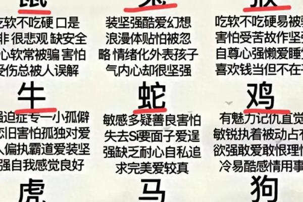 老虎生肖和牛生肖相配吗？揭秘生肖搭配的奥秘