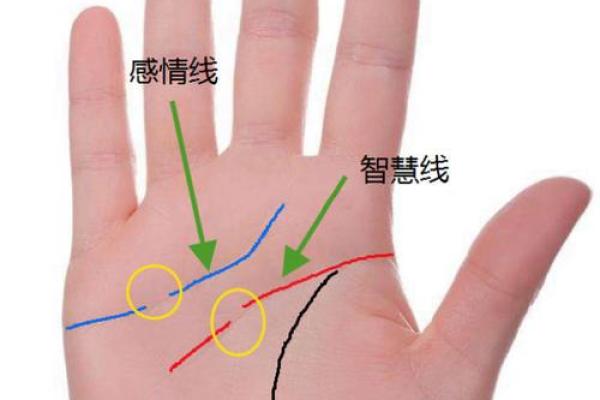 手相智慧线分叉预示大智慧，揭秘命运转折点