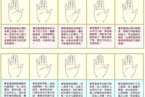 手相智慧线分叉预示大智慧，揭秘命运转折点