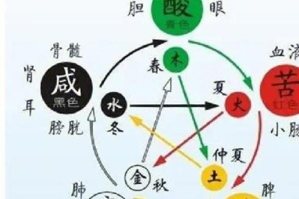 五行学说中的水果分类大公开