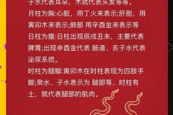 八字四柱精准解读，助你避开人生大坑
