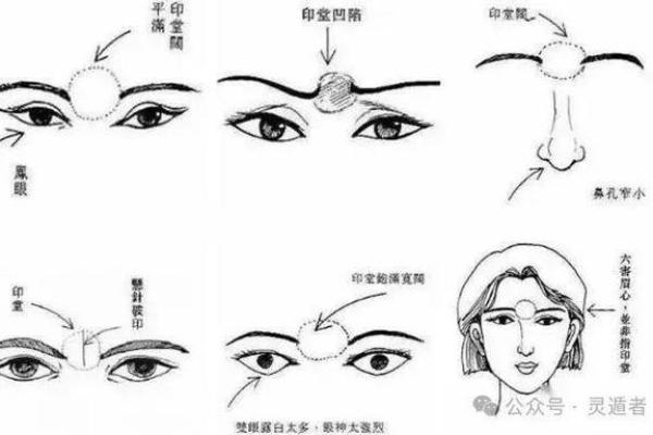 山根有痣，运势非凡？探究相术中的财富密码