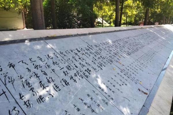 杜甫诞辰：重温诗圣文化，传承民俗风情