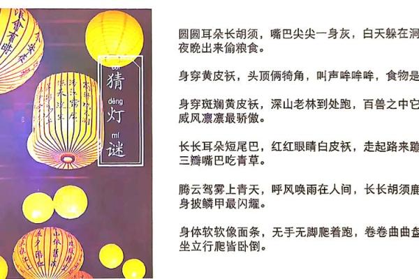白日生肖风云录：揭秘十二生肖的白天秘密
