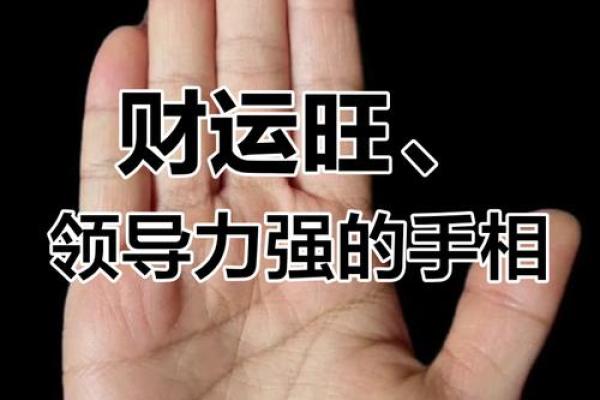 揭秘千字纹男手相：掌握命运走向，解锁财运人生