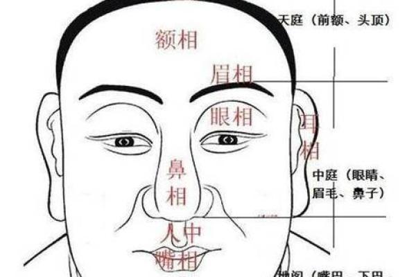 男子面相解析：揭秘面相中的王者气质
