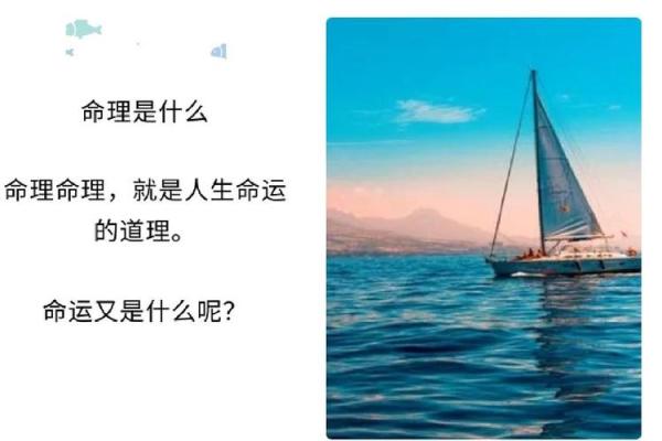 1020日生：揭秘你的星座密码，解锁神秘命运之谜