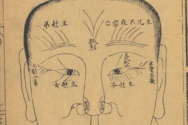 面痣成谜：麻衣神相中隐藏的神奇力量
