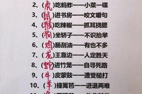 生肖定格：探寻不动的魅力生肖之谜