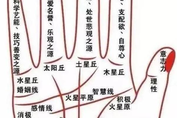揭秘手相土星丘的秘密：运势、健康、性格全解析