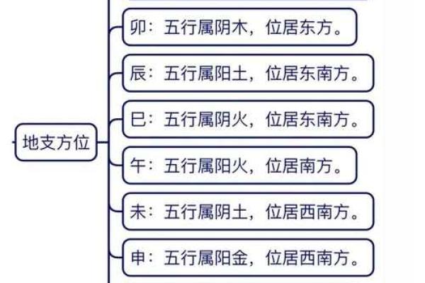 眼睛与天干地支的奇妙联系