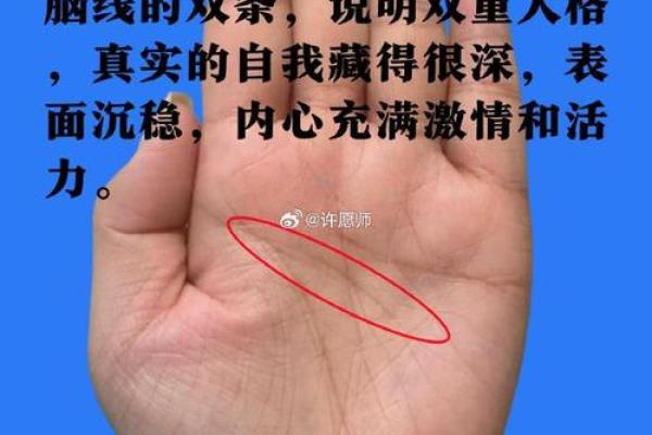 手相揭秘：分叉过多竟暗示这些命运转折火速围观