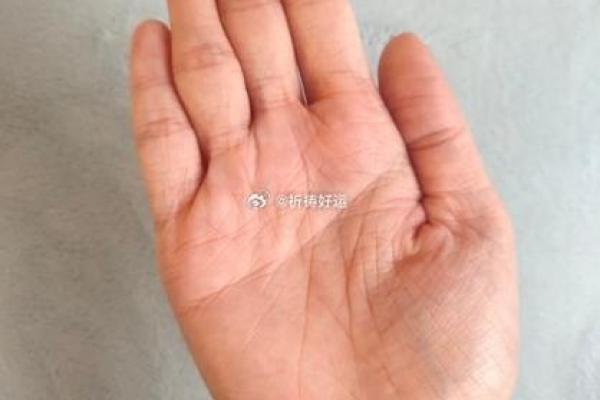 手相揭秘：分叉过多竟暗示这些命运转折火速围观