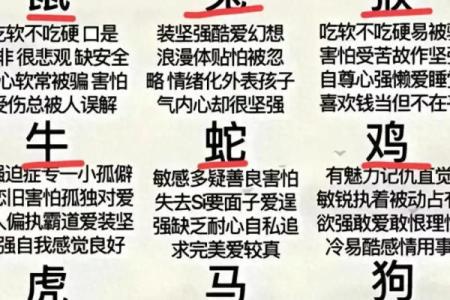 老虎生肖和牛生肖相配吗？揭秘生肖搭配的奥秘