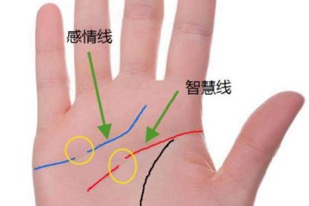 手相智慧线分叉预示大智慧，揭秘命运转折点