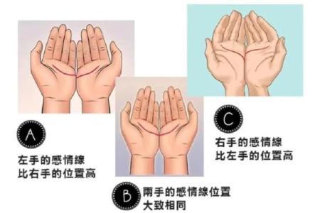 揭秘双手差异：左手右手手相大揭秘，你了解多少？