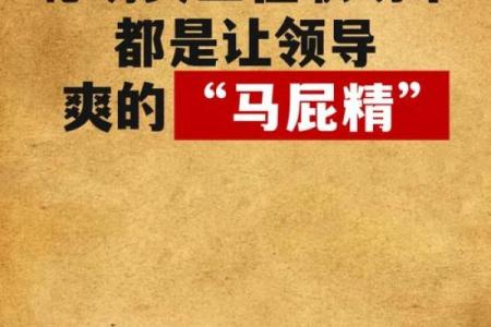 技女命：揭秘女性职场中的高技能生存法则