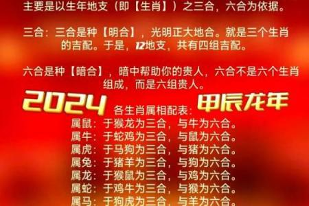 牛气冲天，马到成功——2024年生肖运势大揭秘