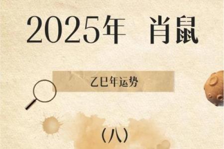 鼠年运势揭秘：揭秘属鼠人的天命之谜