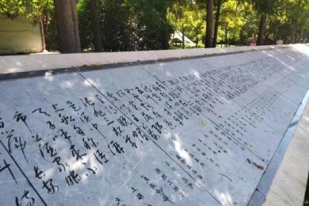 杜甫诞辰：重温诗圣文化，传承民俗风情