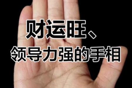 揭秘千字纹男手相：掌握命运走向，解锁财运人生
