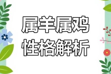 羊狗配对，天生一对？揭秘生肖相配奥秘