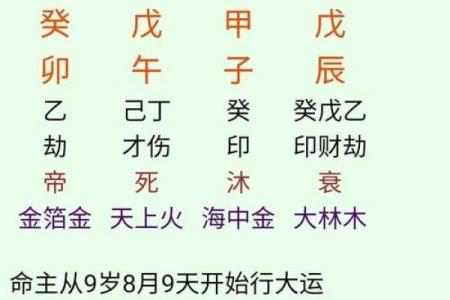 探秘大六壬神排盘：掌握命运的关键法则