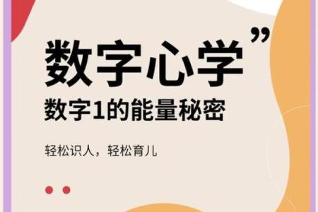 数字行属什么？揭秘隐藏的神秘力量