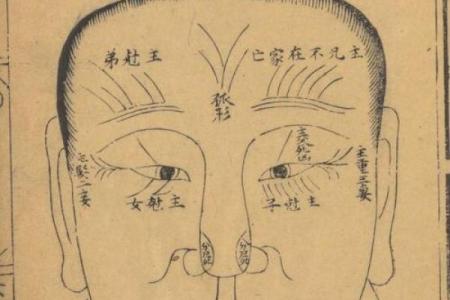 面痣成谜：麻衣神相中隐藏的神奇力量