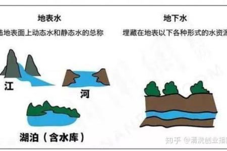 榕字五行分析：它究竟属于哪一类？
