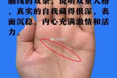 手相揭秘：分叉过多竟暗示这些命运转折火速围观