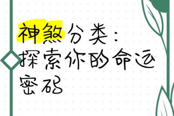 识面观相，揭秘你的命运密码