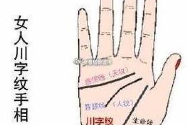 揭秘左手手相的秘密，你的命运竟然藏在这双手