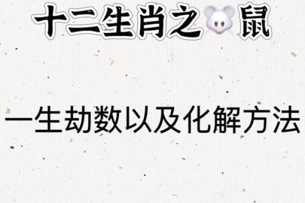 属相奥秘：狗鼠能否携手共度一生？