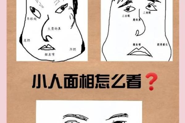 揭秘面相中的神秘密码：一眼识人，找对象必备攻略