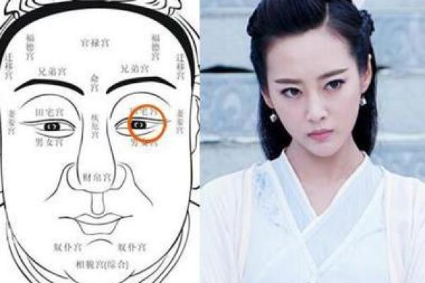 揭秘面相中的神秘密码：一眼识人，找对象必备攻略