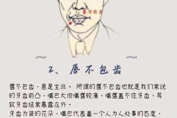 面相揭秘：人不可面相，揭秘面相背后的秘密