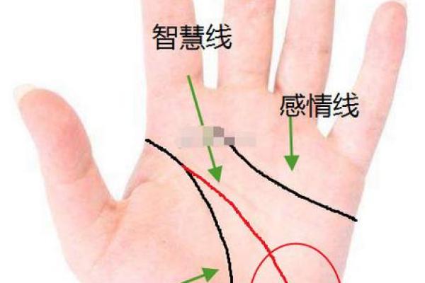 手相中的希望线：揭秘命运转折的神奇力量