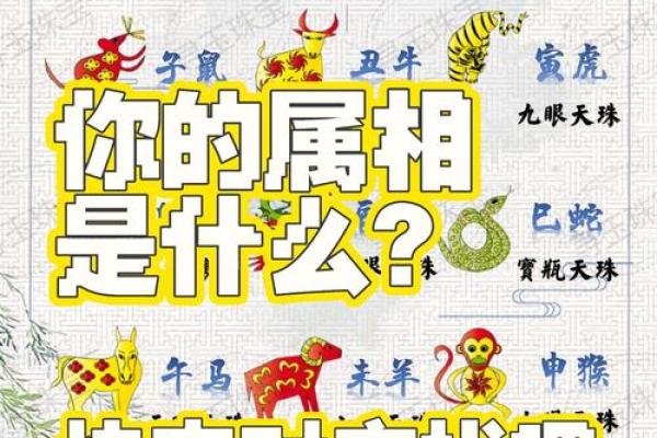 天神生肖大揭秘：揭秘十二生肖背后的神秘力量